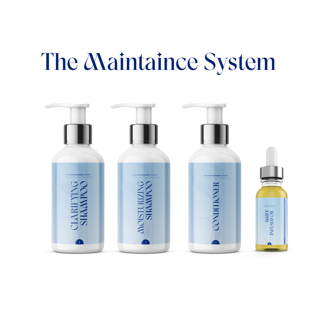 The Maintaince Systen